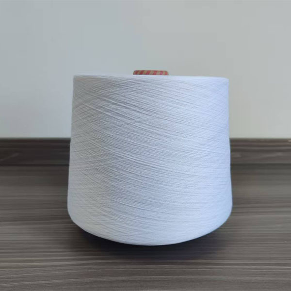 Polyester Spun Yarn 12S RT