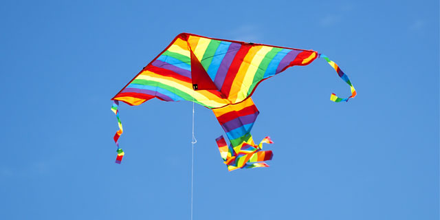 Kite